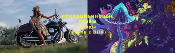 амф Елизово