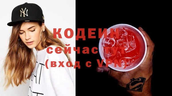стаф Ельня