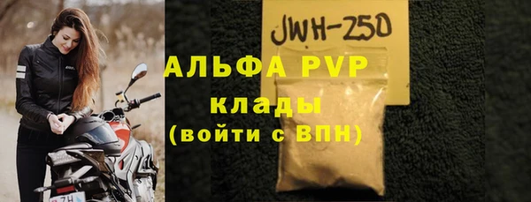 стаф Ельня