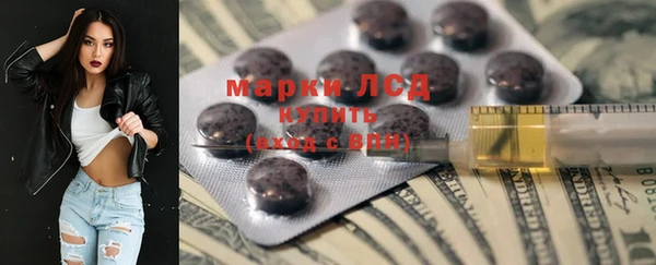 амф Елизово