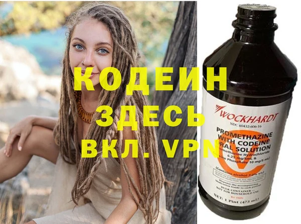 стаф Ельня