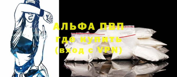 амф Елизово