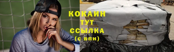стаф Ельня