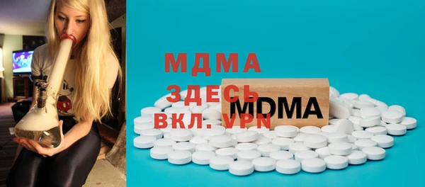 стаф Ельня