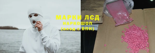 стаф Ельня
