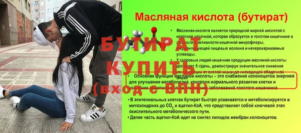 стаф Ельня