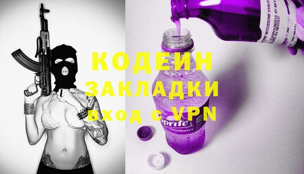 стаф Ельня
