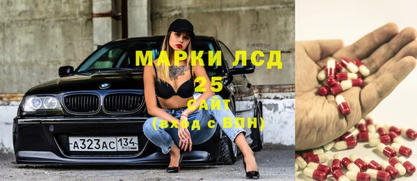 стаф Ельня