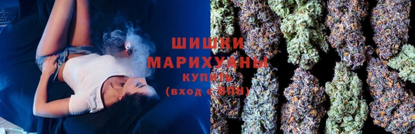 амф Елизово