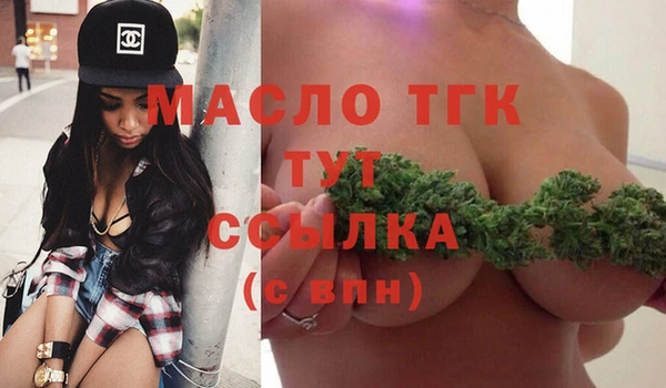 стаф Ельня