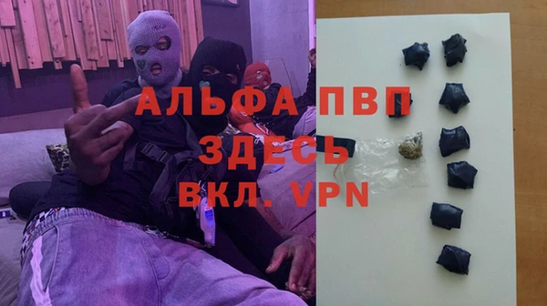 стаф Ельня