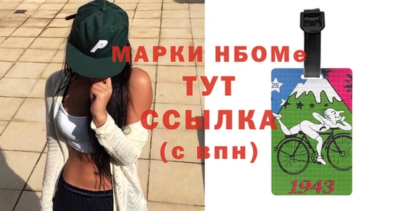 стаф Ельня
