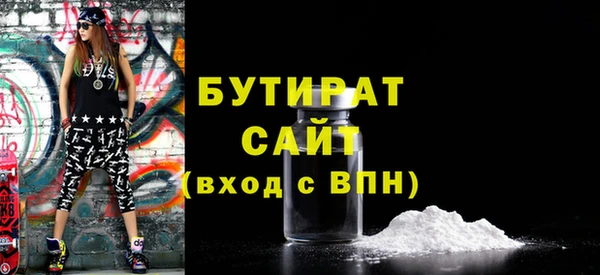 стаф Ельня
