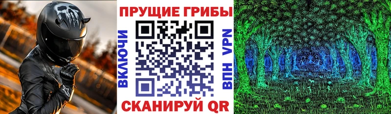 что такое наркотик  blacksprut онион  Галлюциногенные грибы прущие грибы  Курск 